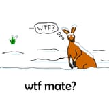 end of the world kangaroo