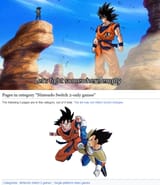 fuck nintendo 13