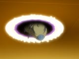 ceiling_bug