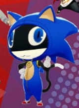 Morgana the hedgehog