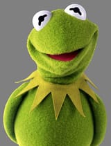 Kermy