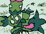 pricklymaractus