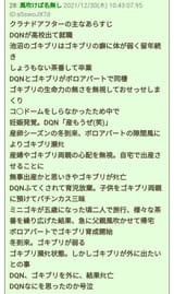 dqn_gokiburi