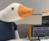 1746407801497211