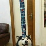 1575417932635