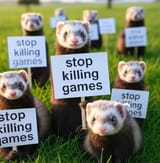 ferret bros need your help