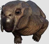 Lystrosaurus 2