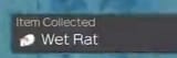 drenched rodent