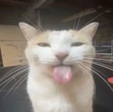 1745077891649