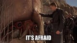 it&#039;s afraid