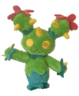 maractus dance