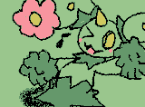 maractus-cheer