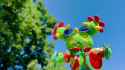 summer maractus_thumb.jpg