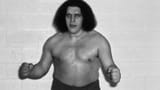 andre