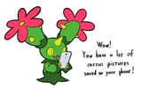 Maractus_8