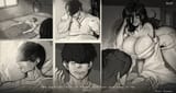 hachi