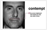 contempt