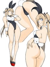 __marie_rose_dead_or_alive_and_1_more_drawn_by_toshinoshin__sample-34235332f3f5a82d5a80c8dd3e455a10