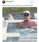 hulk hogan