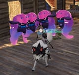 sheep