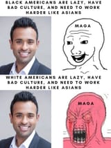 48647855