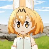 serval face
