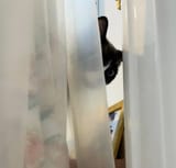 pics-taken-shortly-after-adoption-he-was-questioning-my-v0-czfyq7qsm88e1