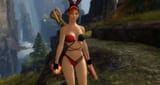 gw2