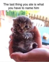1742095221590195