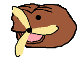 spurdokopter
