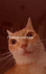 1709877082691371