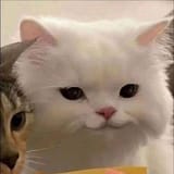 348917482_769463858239805_8547338330555620828_n