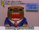 Newsfromdomo