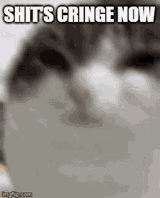 1740007149646194