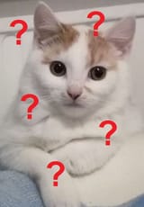 1732441309656838