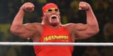 hulkster