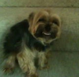 lold