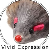 vivid expression