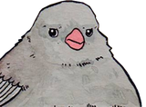 1732352818146132