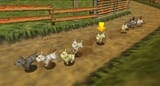 Dogs_Racing