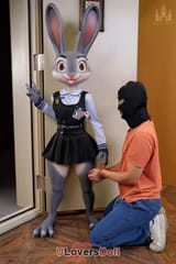17 (1)