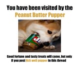 peanutbutter pupper