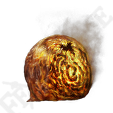1000057707