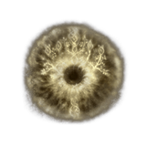 ledas_rune_rune_elden_ring_shadow_of_the_erdtree_dlc_wiki_guide_200px