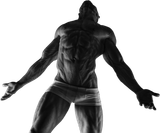 8o
