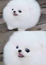 1656950411200