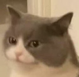 1656198581374