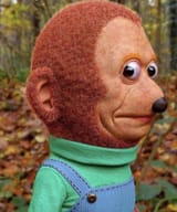 GWlh_2kWwAAFLdS