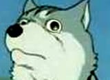 Gin stare