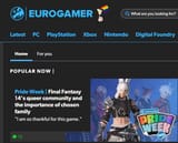 eurogamer faggots ff14